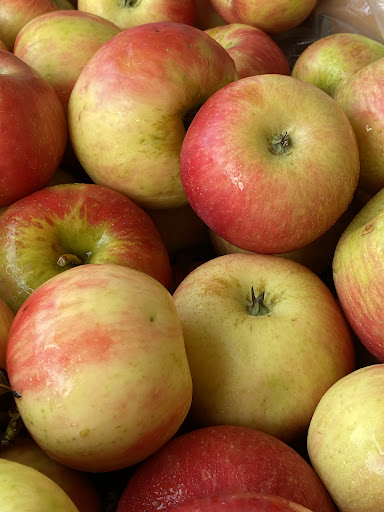 Produce Market «Welsh Heritage Farms», reviews and photos, 20758 528th Ave, Lake Crystal, MN 56055, USA