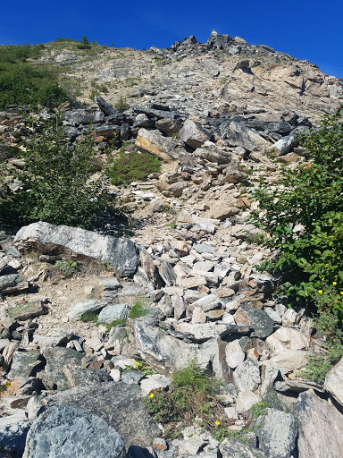 National Park «Denali National Park and Preserve», reviews and photos