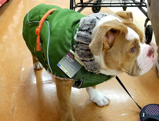 Pet Supply Store «Petco Animal Supplies», reviews and photos, 10 Sylvan St, Peabody, MA 01960, USA