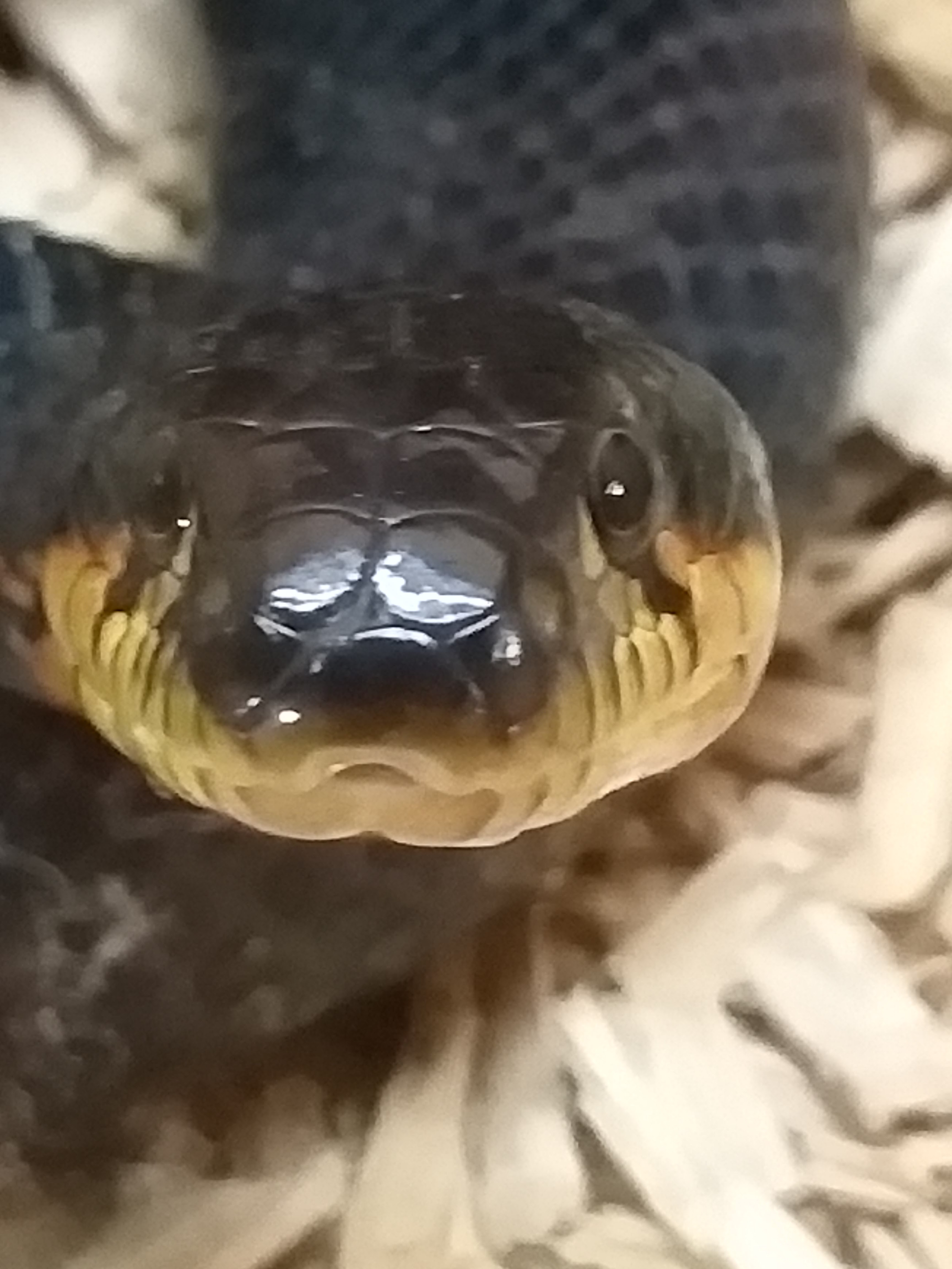 Photo n° 3 de l'avis de martine.a fait le 28/04/2019 à 14:59