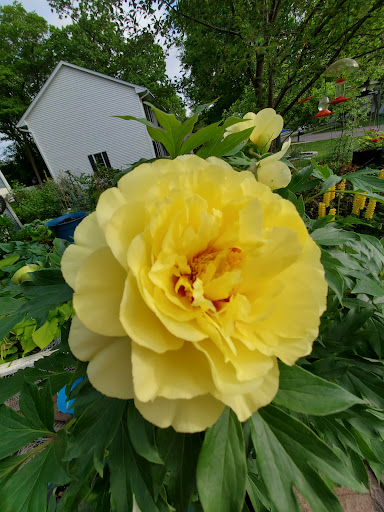 Home Improvement Store «The Home Depot», reviews and photos, 15800 Grove Cir N, Maple Grove, MN 55369, USA