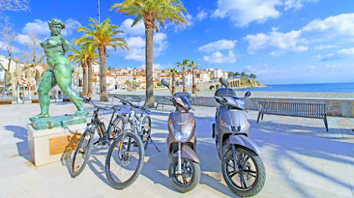 Bicycleta à Banyuls-sur-Mer