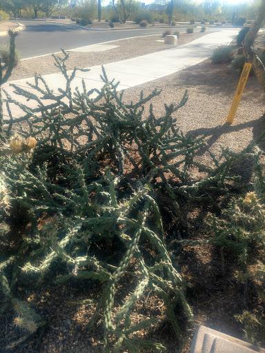 Community Center «Aviano Community Center», reviews and photos, 22500 N Aviano Way, Phoenix, AZ 85050, USA