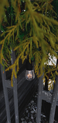 Art Museum «deCordova Sculpture Park and Museum», reviews and photos, 51 Sandy Pond Rd, Lincoln, MA 01773, USA