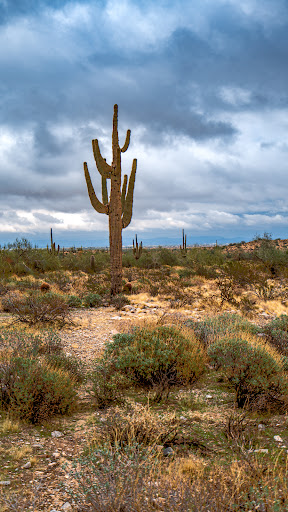 Black Rock Loop Trailhead