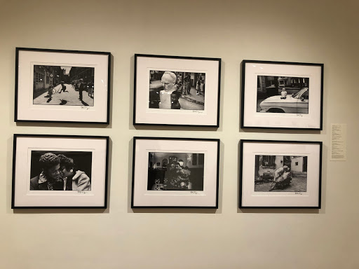 Art Museum «University of Kentucky Art Museum», reviews and photos, 405 Rose St, Lexington, KY 40508, USA