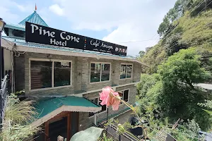 Cafe' Amigos Shimla image
