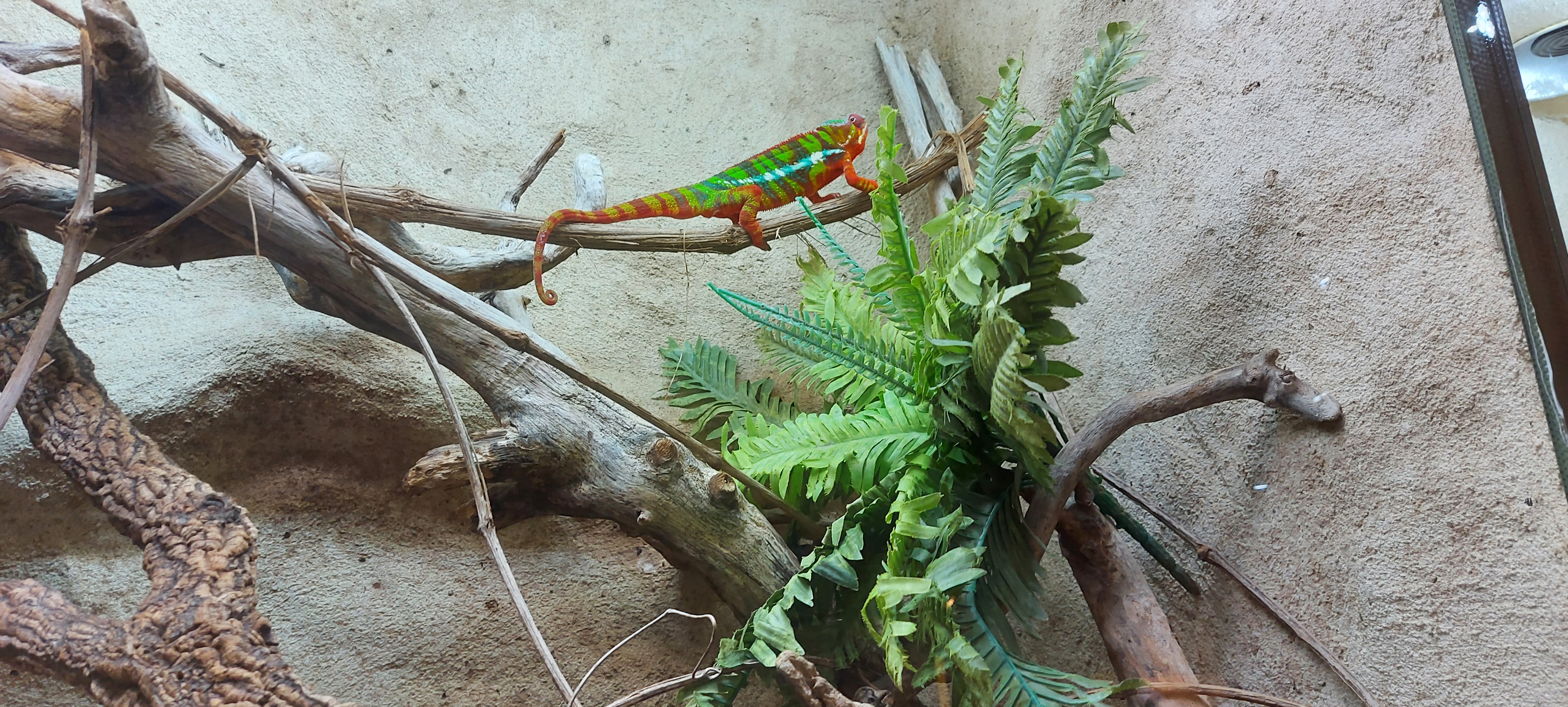 Photo n° 6 de l'avis de Sandrine.o fait le 11/07/2022 à 19:35