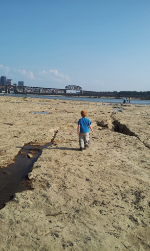 Science Museum «Kentucky Science Center», reviews and photos, 727 W Main St, Louisville, KY 40202, USA