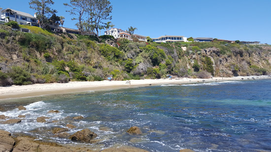 Mussel beach