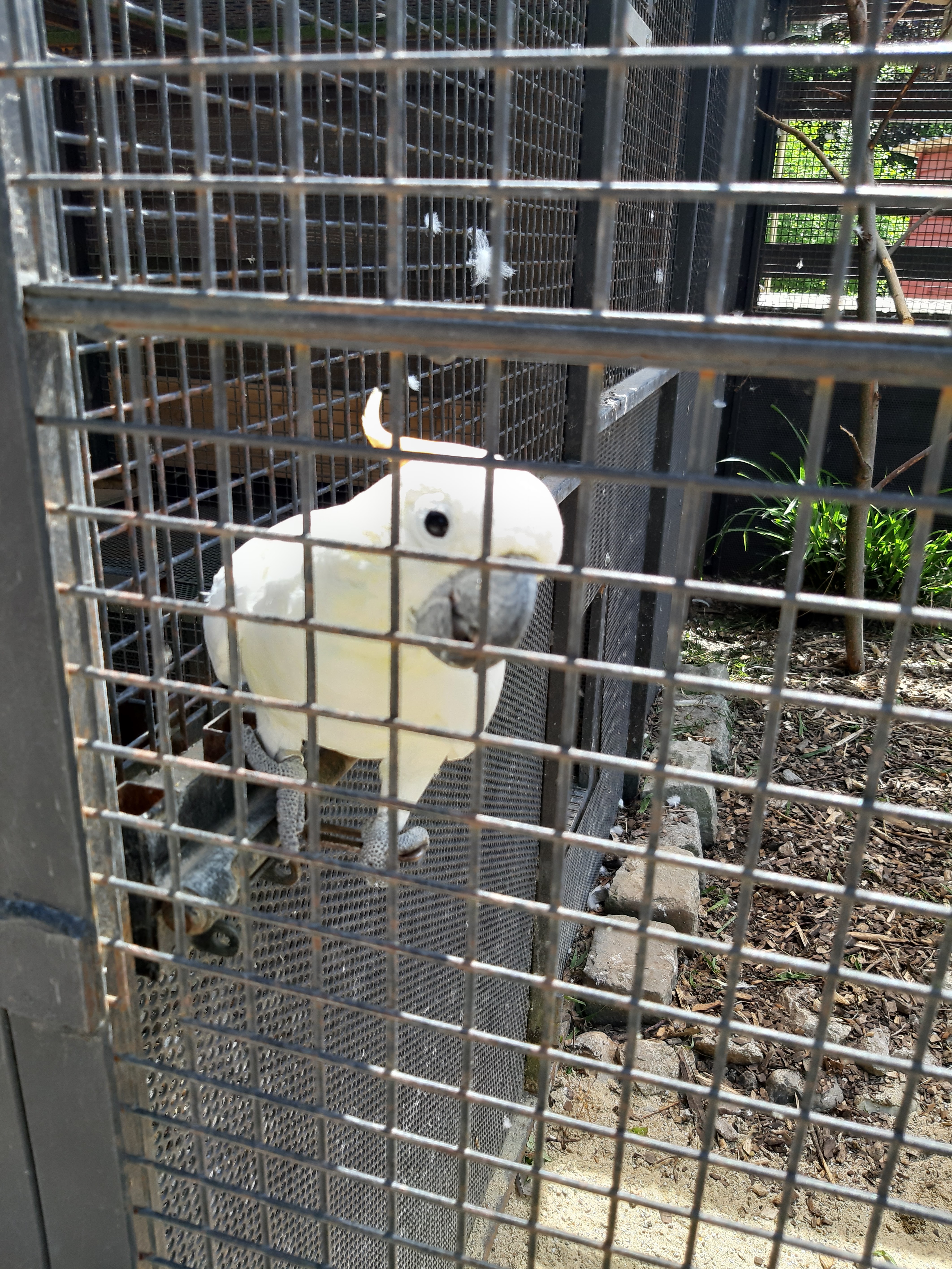 Photo n° 2 de l'avis de Mathieu.e fait le 08/07/2019 à 12:10