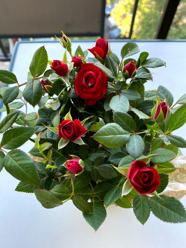 Grocery Store «Stop & Shop», reviews and photos, 105 Alewife Brook Pkwy, Somerville, MA 02144, USA