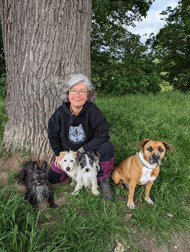 Tierarztpraxis Maike Tostmann unter Hildesheim, 