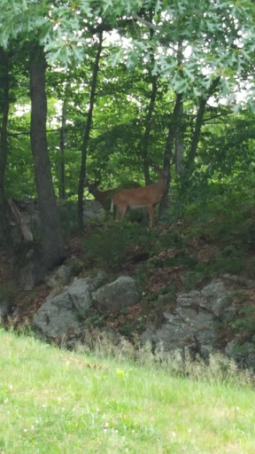 Golf Course «George Wright», reviews and photos, 420 West St, Hyde Park, MA 02136, USA