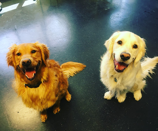 Jeweler «Harold Jaffe Jewelers», reviews and photos, 4211 Talmadge Rd, Toledo, OH 43623, USA