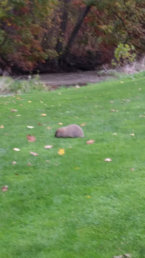 Golf Club «Lindenwood Golf Club», reviews and photos, 360 Galley Rd, Canonsburg, PA 15317, USA