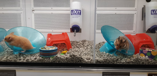 Pet Supply Store «Petco Animal Supplies», reviews and photos, 205 SE 5th St, Ames, IA 50010, USA