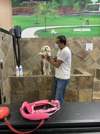 Pet Supply Store «Pet Valu», reviews and photos, 1354 Centennial Ave, Piscataway Township, NJ 08854, USA