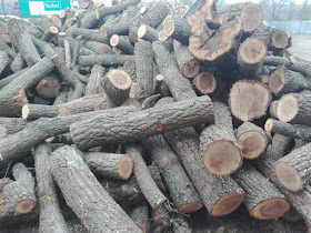 Лесотрейд Добрич ООД - НАМАЛЕНИЕ ЦЕНИ Дърва за огрев и дървен материал Добрич