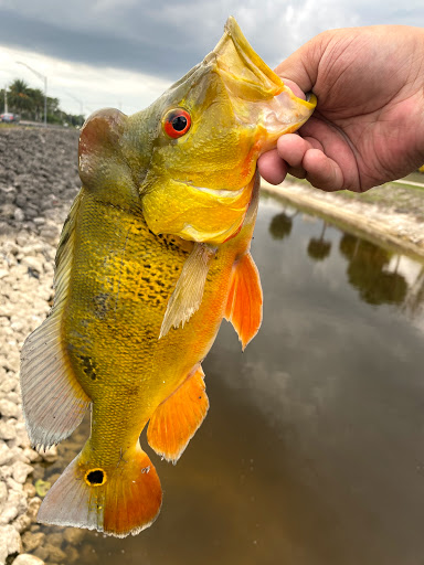 Hardware Store «Sunshine Ace Hardware Inc», reviews and photos, 9100 Bonita Beach Rd SE, Bonita Springs, FL 34135, USA