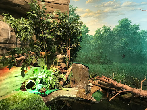 Aquarium «Great Lakes Aquarium», reviews and photos, 353 Harbor Dr, Duluth, MN 55802, USA