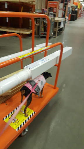 Home Improvement Store «The Home Depot», reviews and photos, 2630 Wilma Rudolph Blvd, Clarksville, TN 37040, USA