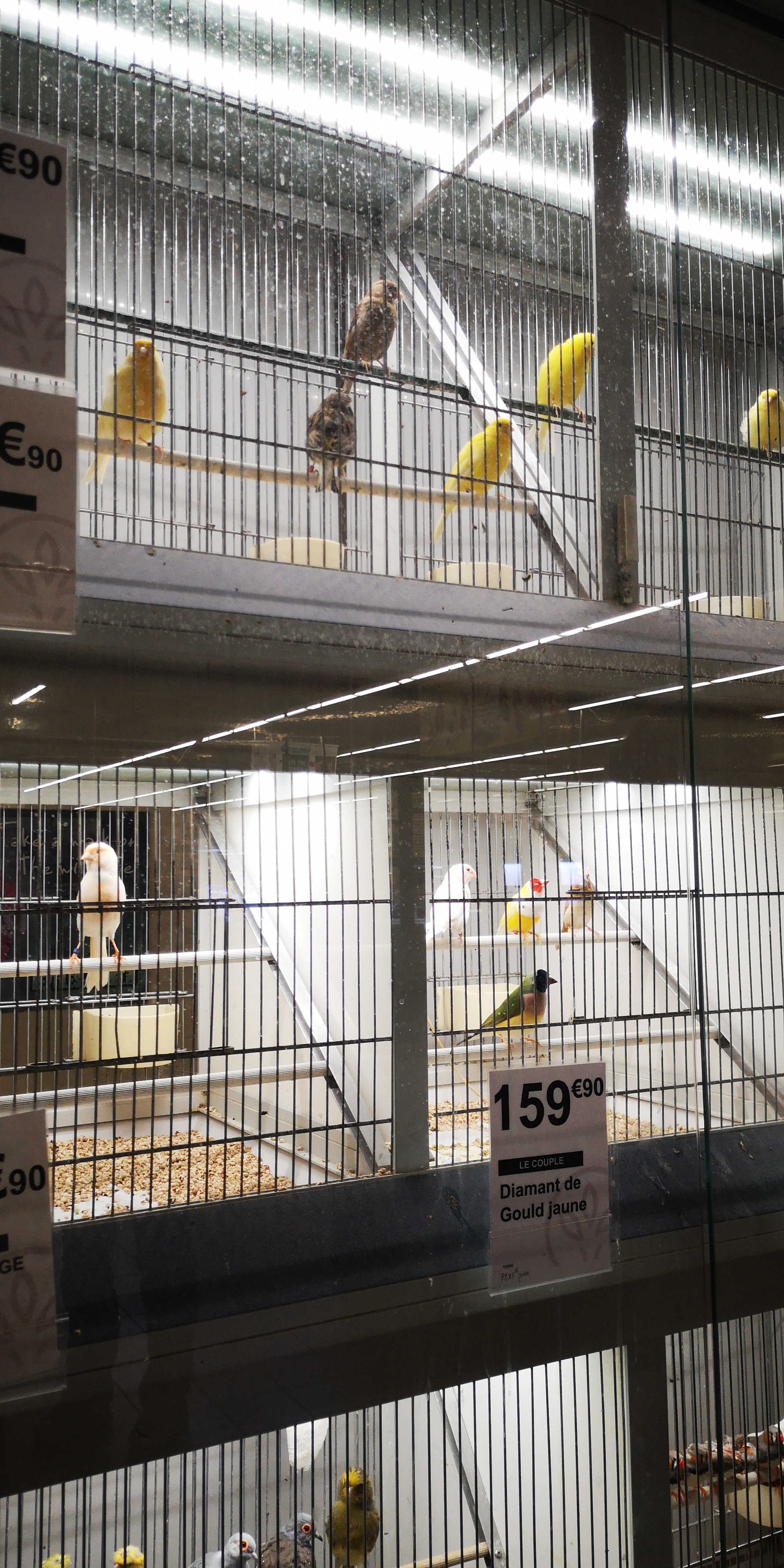 Photo n° 9 de l'avis de Mon.o fait le 31/05/2019 à 16:17