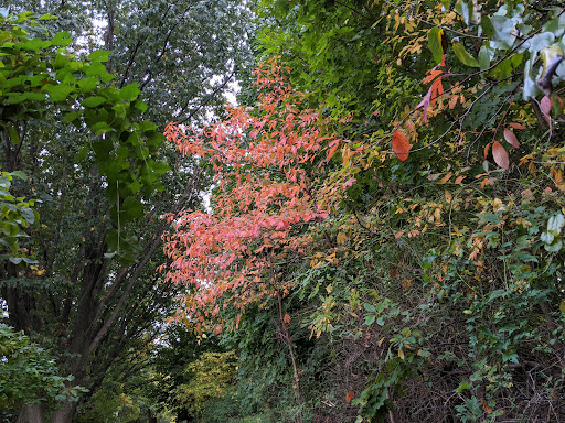 Golf Course «Forest Park Golf Course», reviews and photos, 101 Forest Park Dr, Woodhaven, NY 11421, USA