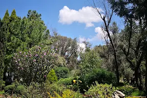 Tizatlán Botanical Garden image
