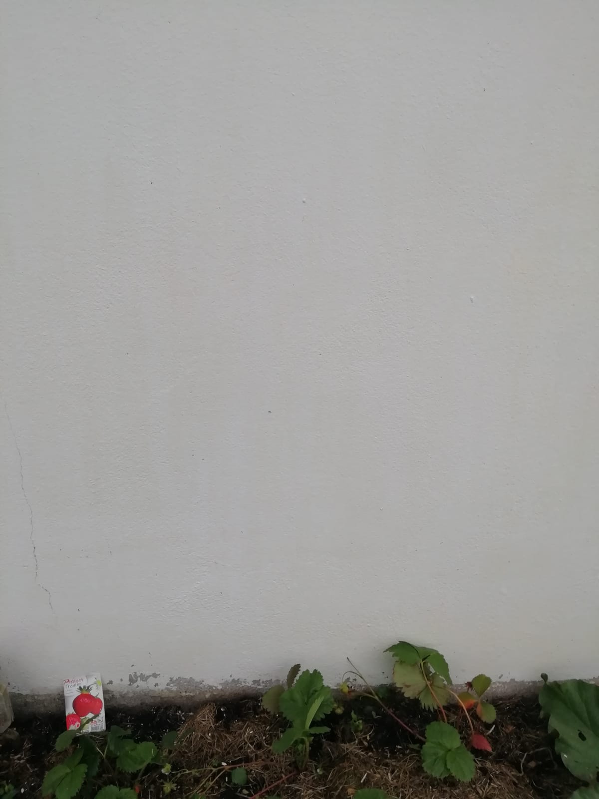 Photo n° 3 de l'avis de Camilous. fait le 19/05/2023 à 21:32