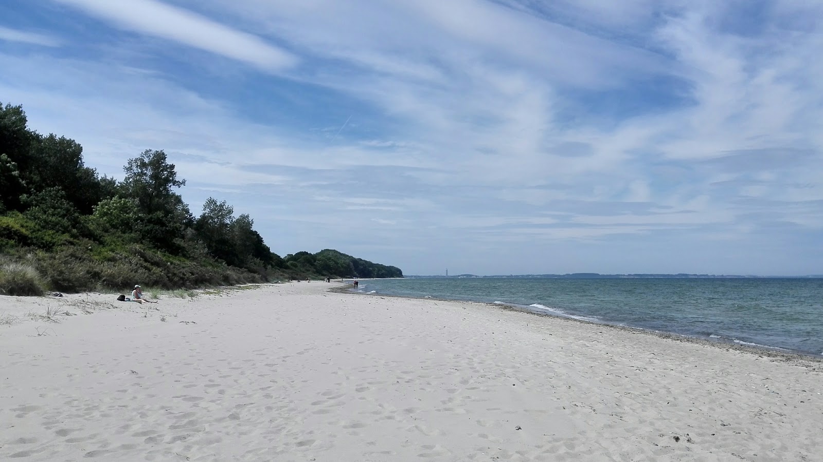 Foto de Naturstrand Gross Schwansee zona salvaje