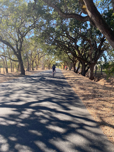 Sonoma Valley Bike Tours & Rentals image