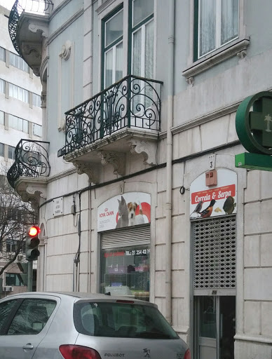 Reptile stores Lisbon