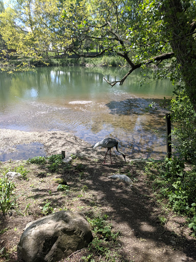 Zoo «Trevor Zoo at Millbrook School», reviews and photos, 282 Millbrook School Rd, Millbrook, NY 12545, USA