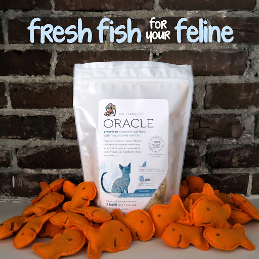 Pet Supply Store «Feed Pet Purveyor», reviews and photos, 1413 S Howard Ave Suite 104, Tampa, FL 33606, USA