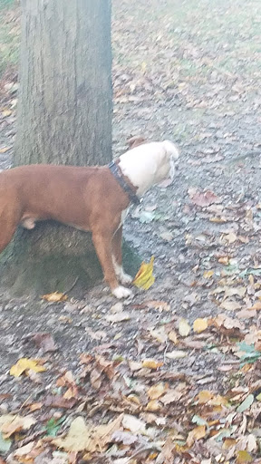 Park «Eisenhower Park», reviews and photos, 780 North St, Milford, CT 06461, USA