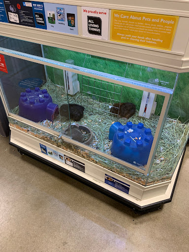 Pet Supply Store «PetSmart», reviews and photos, 1331 Nixon Dr, Moorestown, NJ 08057, USA