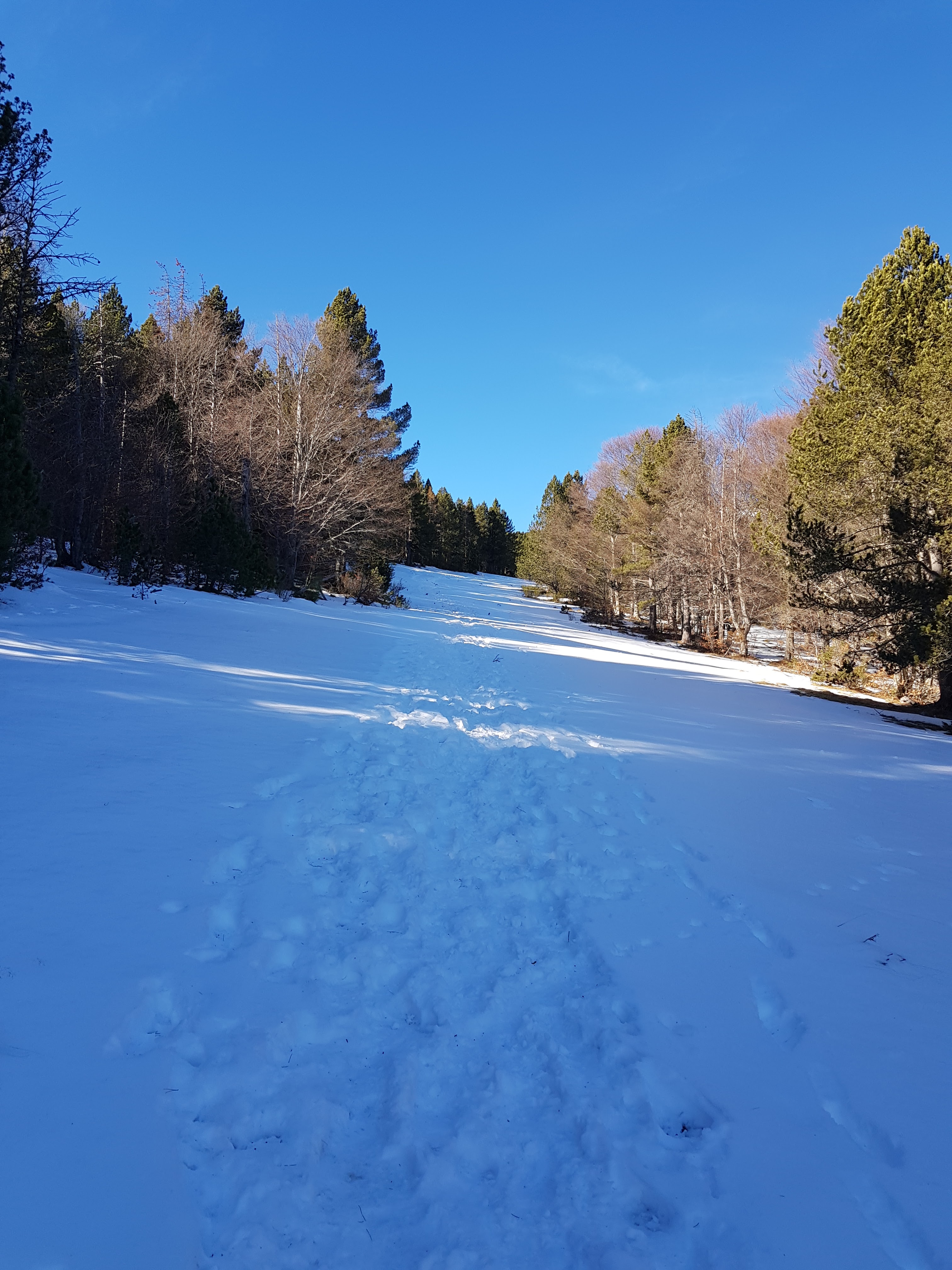 Photo n° 3 de l'avis de Delcourt.a fait le 12/04/2018 à 09:58
