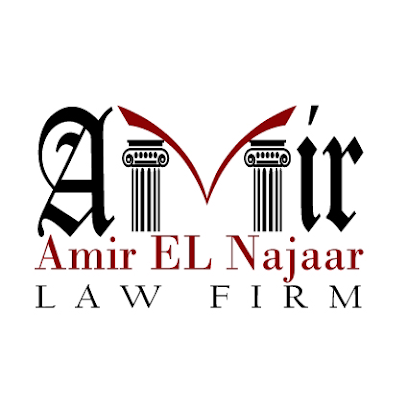 Amir El-Najaar Law Firm