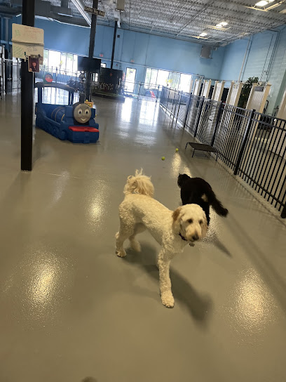Pawphoria / Petphoria Play & Stay Doggie Daycare & Boarding Incorporated