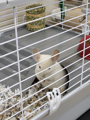 Pet Supply Store «Pet Supplies Plus», reviews and photos, 1368 N Galena Ave, Dixon, IL 61021, USA