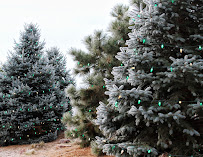 Madison Lawn & Landscape - Photo 8 - Car repair in Sioux Falls, SD, Sioux Falls