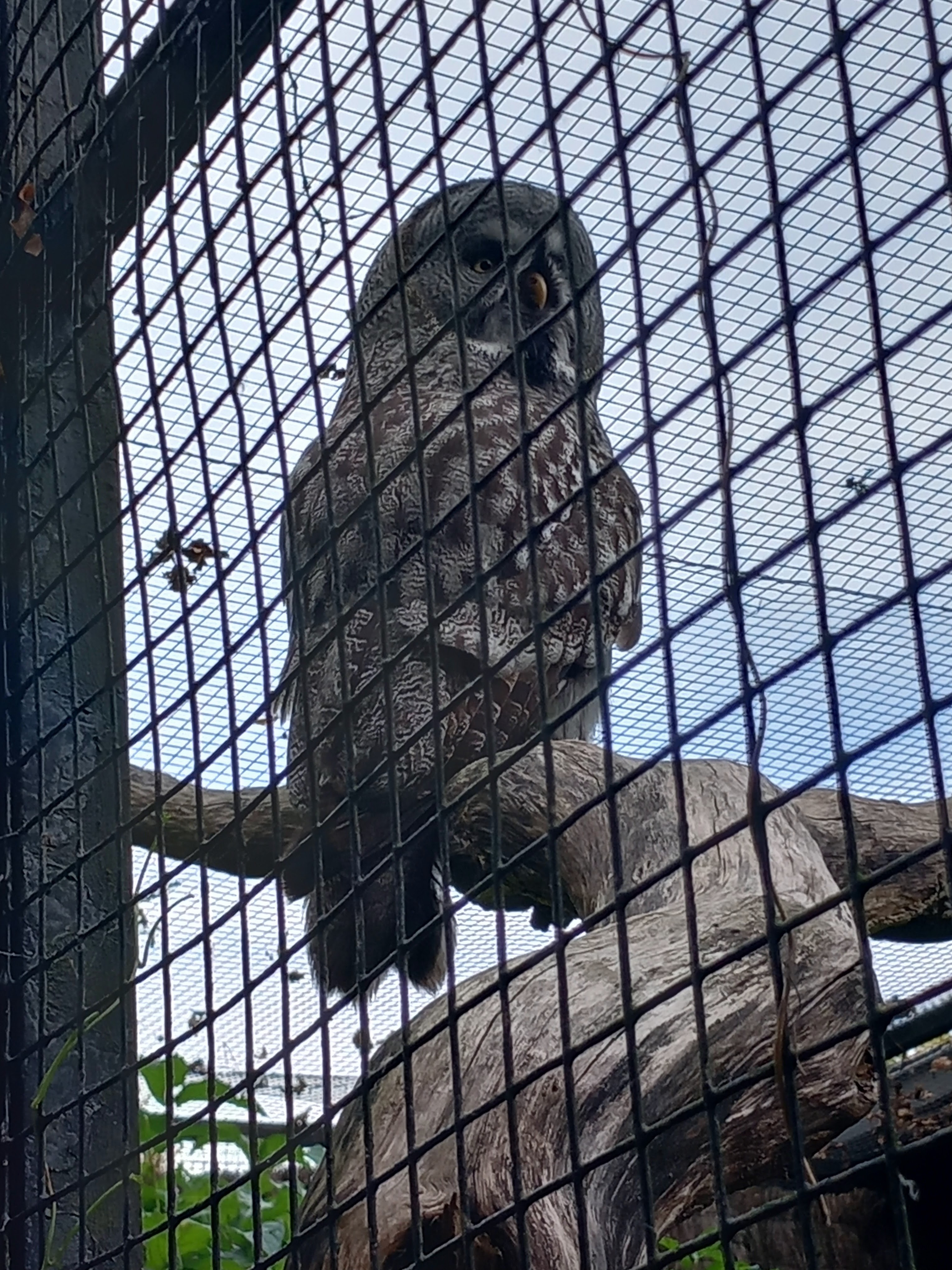 Photo n° 24 de l'avis de Julien.a fait le 11/10/2023 à 18:47