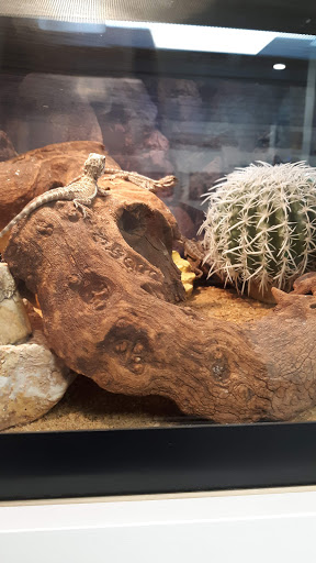 Pet Supply Store «Buckles Feed Depot & Pet Supply», reviews and photos, 220 S 4th St, Lafayette, IN 47901, USA