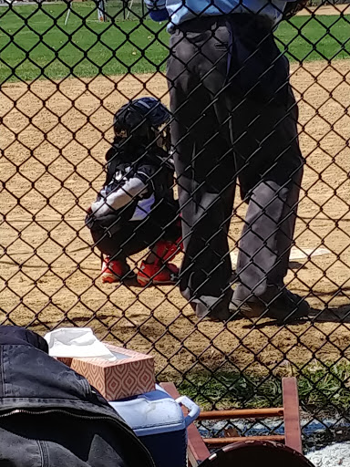 Park «Hayes Park», reviews and photos, 2936 W 85th St, Chicago, IL 60652, USA