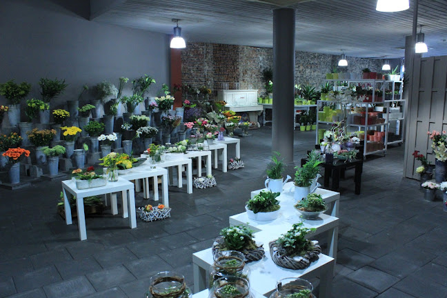 Reacties en beoordelingen van Den Bloeme Winkel