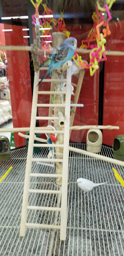 Pet Supply Store «Petco Animal Supplies», reviews and photos, 1009 E Commercial Blvd, Oakland Park, FL 33334, USA