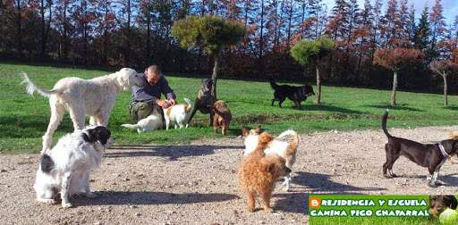 Residencia y Escuela Canina Pico Chaparral en Las Ventas de San Julián, Toledo