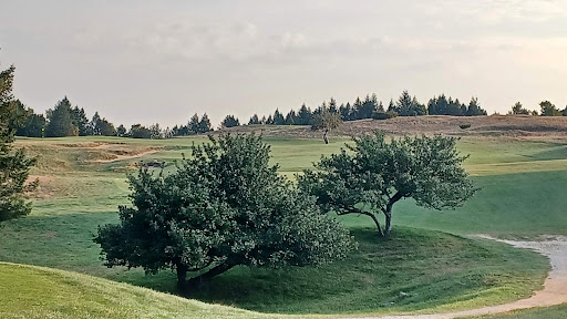 Golf Course «Champion Hill Golf Course», reviews and photos, 501 N Marshall Rd, Beulah, MI 49617, USA