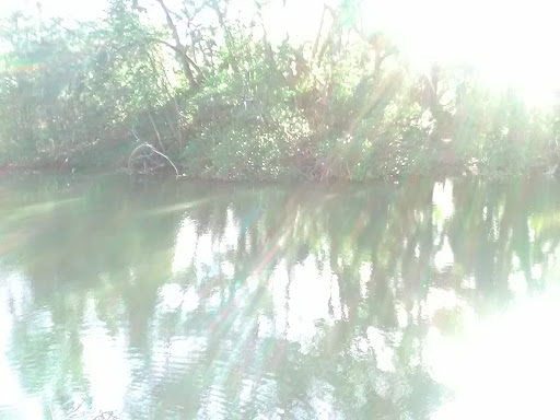 Park «Greynolds Park», reviews and photos, 17530 W Dixie Hwy, North Miami Beach, FL 33160, USA